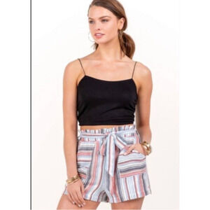 Francesca’s Paper-bag Stripped Shorts Size L